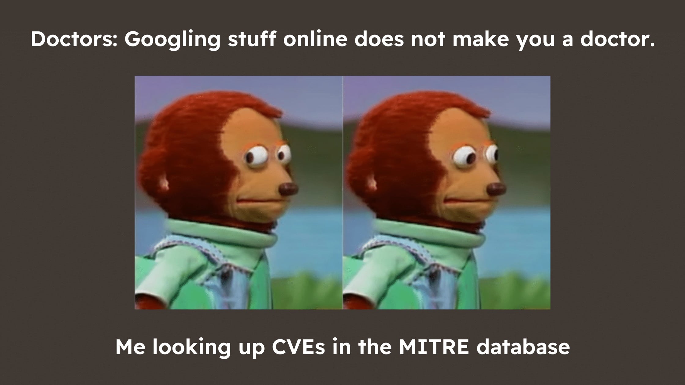 meme of a monkey puppet talking about people googling things and how that doesn't make you a doctor